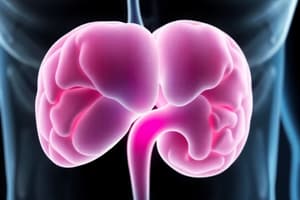 Adrenal Gland Functions and Hormones