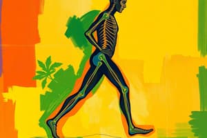 Gait Analysis and Mechanics