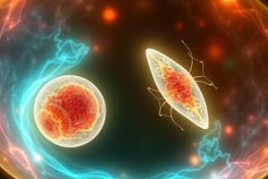 Cell Division and Meiosis Overview