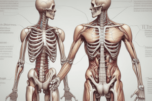 Anatomy of Joints, Tendons & Ligaments