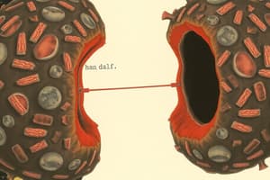 Cellular Adaptations Quiz