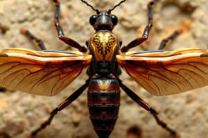 Insect History and Fossils