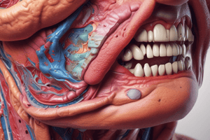 Skin & Integumentary System Hooper