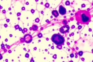 Microbiology: Staining Techniques