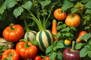 Vegetable Classification Quiz