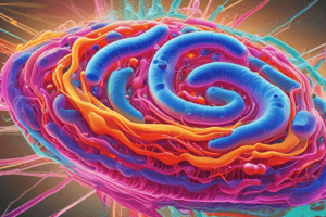 Cell Signaling and Intercellular Communication Quiz