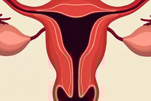 Anatomía del Aparato Reproductor Femenino de YOUTUBE