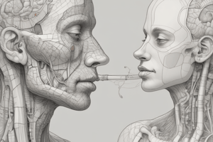 Respiratory System Anatomy Quiz