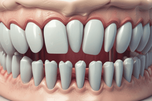 Anatomy of Permanent Maxillary Molars