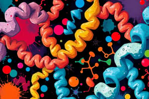 Amino Acids: Functions and Significance