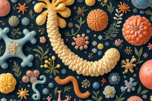 Enzymes, Vitamins and Minerals MBMB 1224 notes