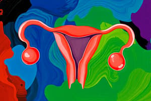 Female Reproductive System Quiz