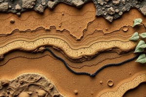 Soil Classification Systems Overview