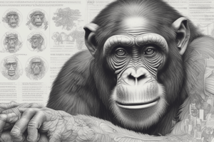 Chimpanzee Memory Tests and Human Evolution