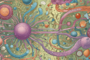 Immune Pathways Comparison