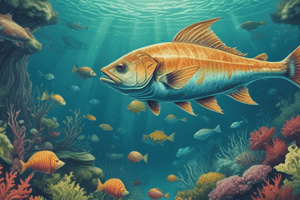 Big Fish: Types and Characteristics