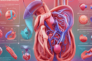 Thoracentesis and Arterial Blood Gas Quiz