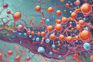 Lipids Classification and Composition