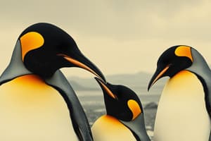 Emperor Penguin Fathers Quiz