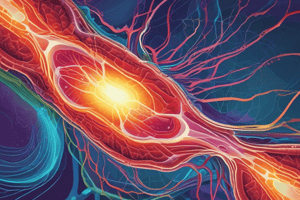 Cell Energy, Mitochondria, and Cytoskeleton Quiz