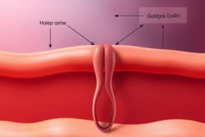 HPG Axis and GnRH Function