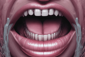 Human Anatomy: The Oral Cavity and Lips