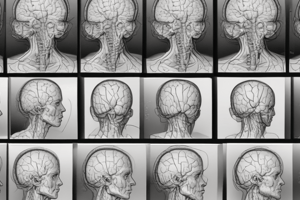 MCA Stroke Imaging