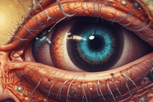 Immunology of the Eye