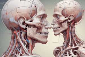 Human Anatomy Lecture 7: Orbital Region