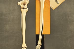 Bone Fractures and Osteoporosis Overview