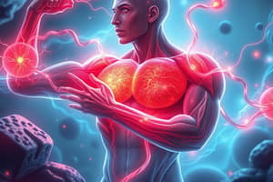 Muscle Metabolism Quiz