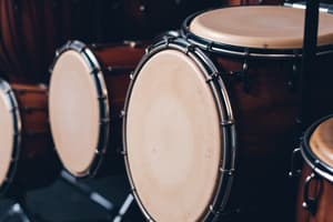 Drums and Percussion Instruments