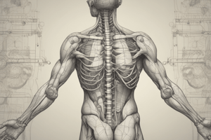 Anatomy: Directional Terms and Body Planes