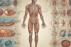 Homeostasis and Feedback Mechanisms in Biology