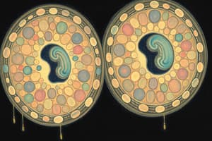 Cell Cycle and Mitosis Overview