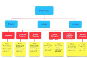 Org Structure, Roles & Responsibilities