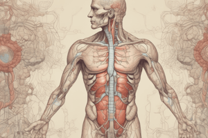 Endocrine Glands Quiz