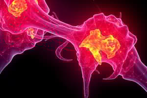 Chondrosarcoma: Malignant Bone Tumor