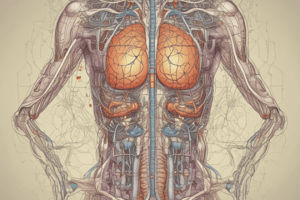 Autonomic Nervous System Essentials