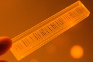 DNA Electrophoresis Techniques 6