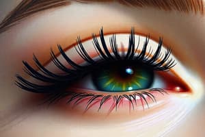 History and Growth of Eyelashes