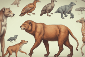 Animal Evolution and Development Quiz