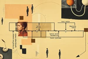 Cell Metabolism and Fermentation Quiz