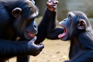 Jane Goodall and Chimpanzee Behavior