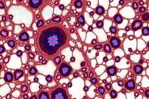 Histology: Microscopy and Staining Techniques