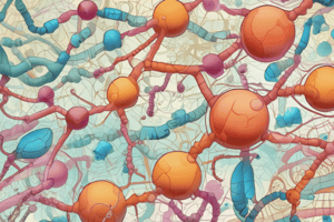 Enzymes and Their Functions