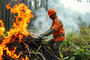 Evaluación de Riesgos en Quema de Residuos Forestales