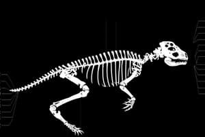 Phylogeny and Systematics