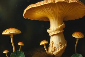 Introduction to Mycology