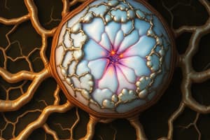 Pathway 13-4-1 The Pulpal Interstitium and Ground Substance PROTEOGLYCAN